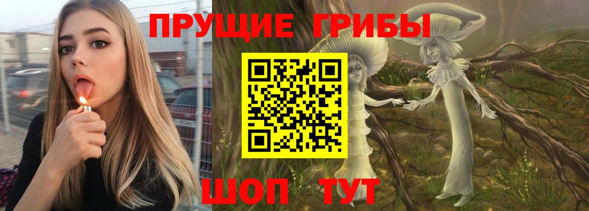 Псилоцибиновые грибы прущие грибы Екатеринбург